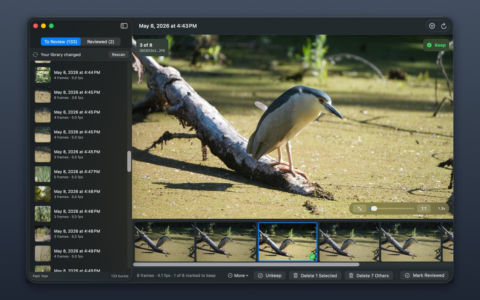 Winnow showing a burst of eight frames of a night heron on a log. The sidebar lists 133 bursts by date and frame count; the filmstrip below the photo shows the sequence with the third frame selected and marked to keep.